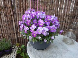 Vakantie_Nederland_2015_189