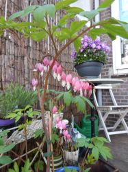 Vakantie_Nederland_2015_191